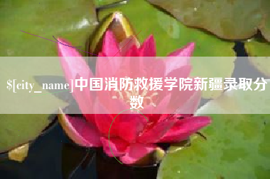 宜宾中国消防救援学院新疆录取分数
