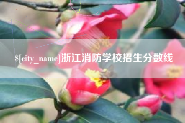 宜宾浙江消防学校招生分数线