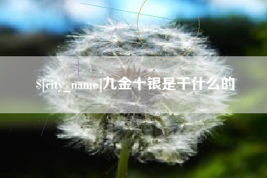 宜宾九金十银是干什么的
