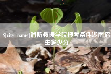 宜宾消防救援学院报考条件湖南招生多少分