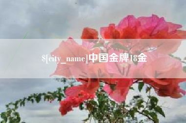 宜宾中国金牌18金