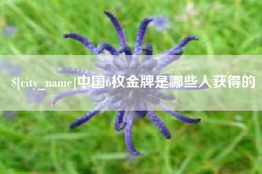 宜宾中国6枚金牌是哪些人获得的
