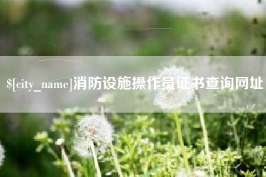 宜宾消防设施操作员证书查询网址