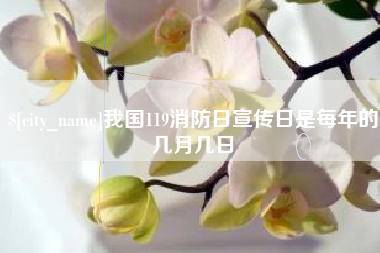宜宾我国119消防日宣传日是每年的几月几日
