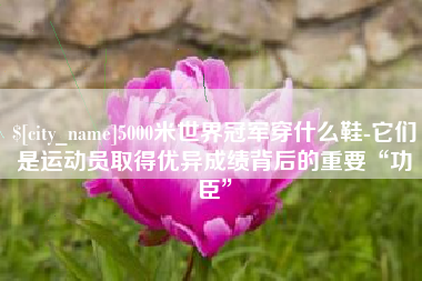宜宾5000米世界冠军穿什么鞋-它们是运动员取得优异成绩背后的重要“功臣”