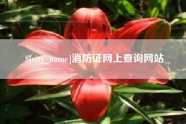 宜宾消防证网上查询网站