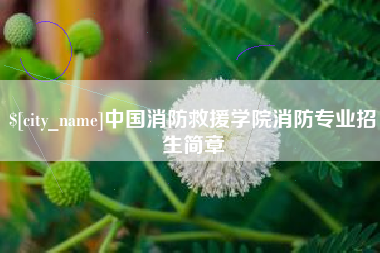宜宾中国消防救援学院消防专业招生简章
