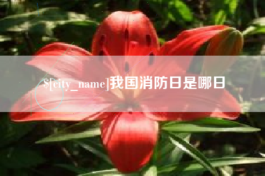 宜宾我国消防日是哪日