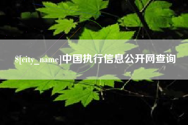 宜宾中国执行信息公开网查询