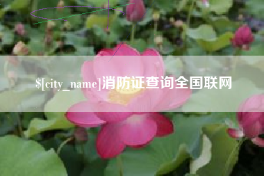 宜宾消防证查询全国联网