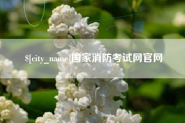 宜宾国家消防考试网官网
