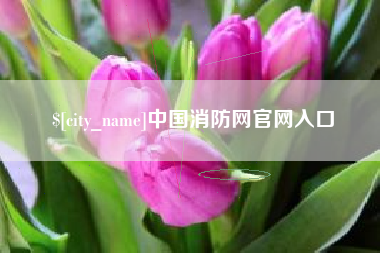宜宾中国消防网官网入口