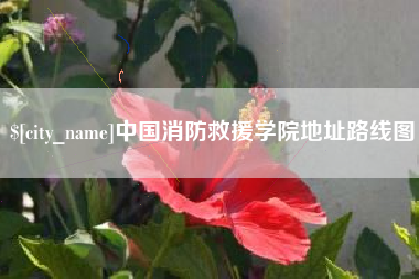 宜宾中国消防救援学院地址路线图