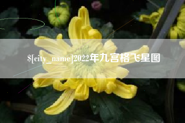 宜宾2022年九宫格飞星图