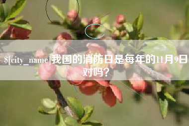 宜宾我国的消防日是每年的11月9日对吗？