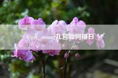 宜宾九宫如何排日
