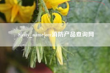 宜宾ccc消防产品查询网