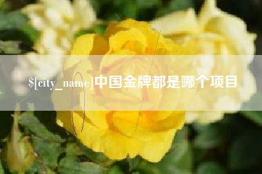 宜宾中国金牌都是哪个项目