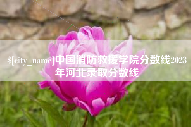 宜宾中国消防救援学院分数线2023年河北录取分数线