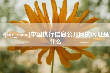 宜宾中国执行信息公开网的网址是什么