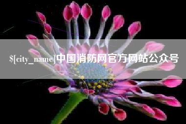 宜宾中国消防网官方网站公众号