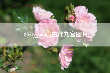 宜宾古代九宫图片