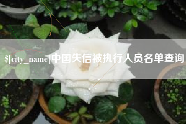 宜宾中国失信被执行人员名单查询