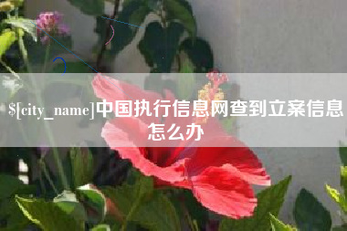 宜宾中国执行信息网查到立案信息怎么办