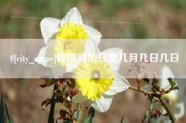 宜宾我国消防日是几月几日几日