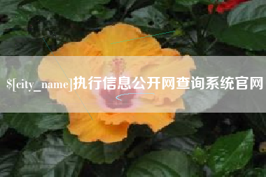 宜宾执行信息公开网查询系统官网