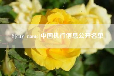 宜宾中国执行信息公开名单