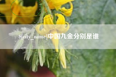 宜宾中国九金分别是谁