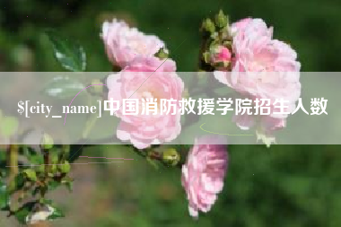 宜宾中国消防救援学院招生人数