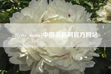 宜宾中国消防网官方网站