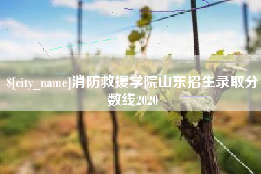 宜宾消防救援学院山东招生录取分数线2020