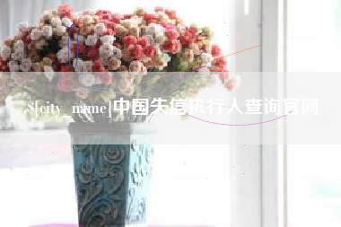 宜宾中国失信执行人查询官网