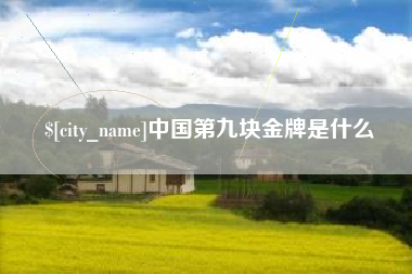 宜宾中国第九块金牌是什么