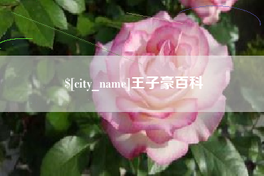 宜宾王子豪百科