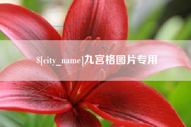 宜宾九宫格图片专用