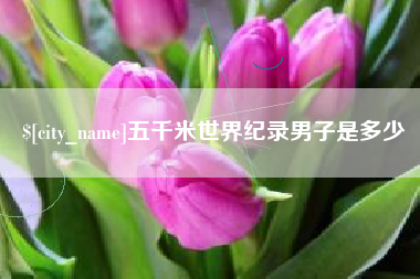 宜宾五千米世界纪录男子是多少