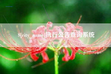 宜宾执行公告查询系统