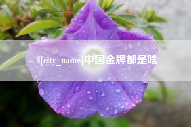 宜宾中国金牌都是啥