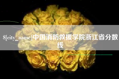 宜宾中国消防救援学院浙江省分数线