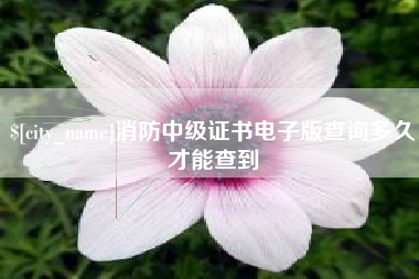 宜宾消防中级证书电子版查询多久才能查到