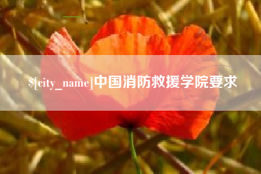 宜宾中国消防救援学院要求