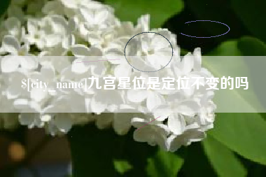 宜宾九宫星位是定位不变的吗