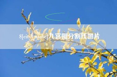宜宾九宫图分割线图片