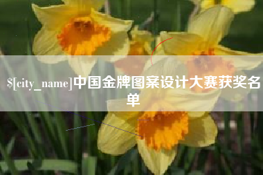 宜宾中国金牌图案设计大赛获奖名单