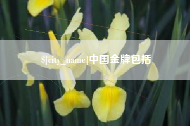 宜宾中国金牌包括