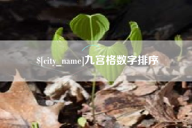 宜宾九宫格数字排序